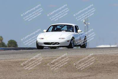 media/Oct-04-2025-OnGrid (Sat) [[44bd565ffa]]/Purple Group/Grapevine/